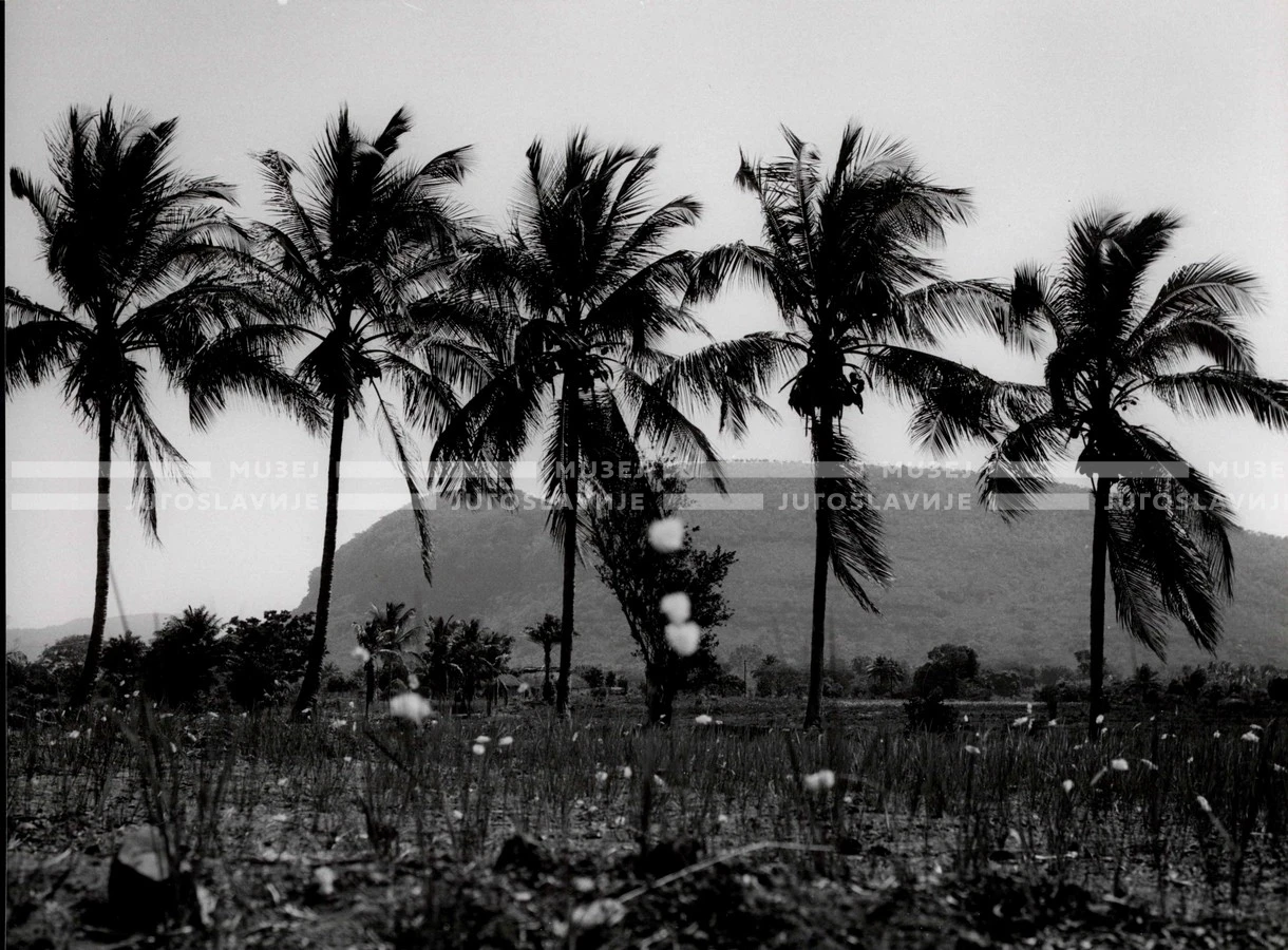 1961_158_077