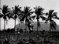 1961_158_077