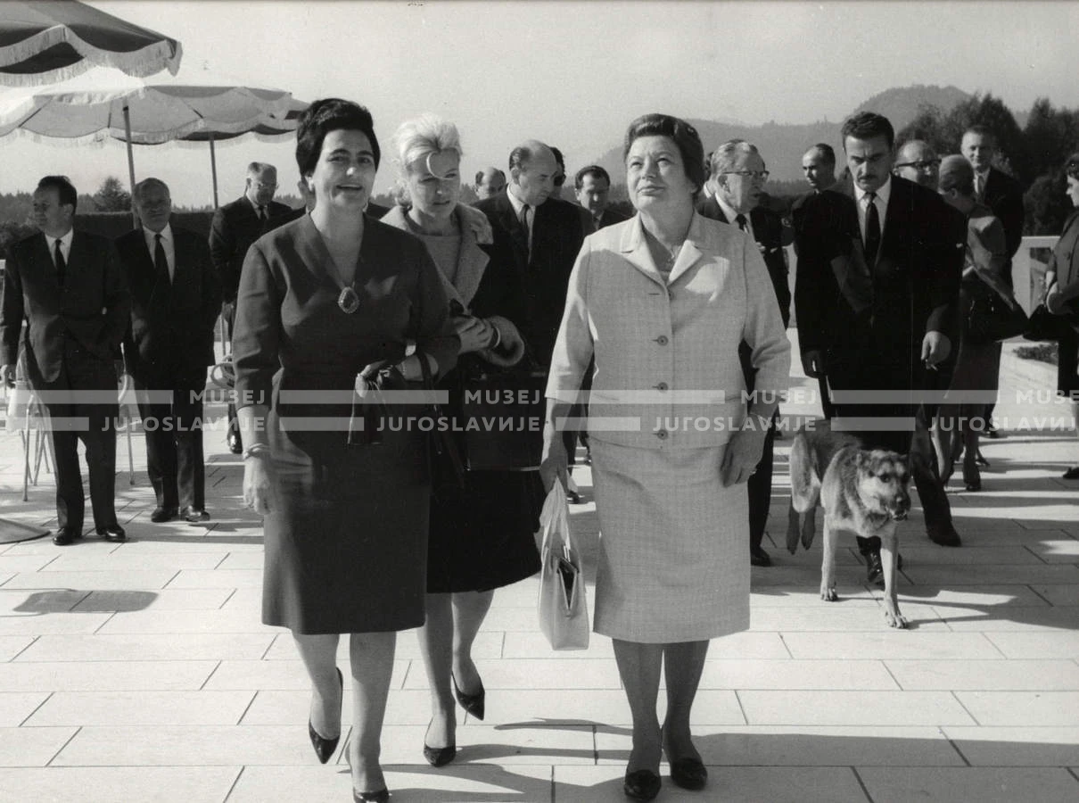 1964_252_203