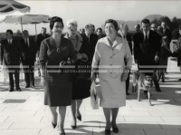 1964_252_203