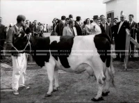 1961_163_059