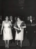 1964_252_168