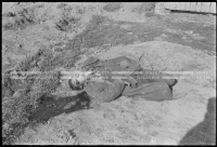 VIS_287_35