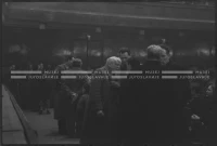 VIS_101_15