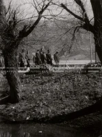 1950_005_110