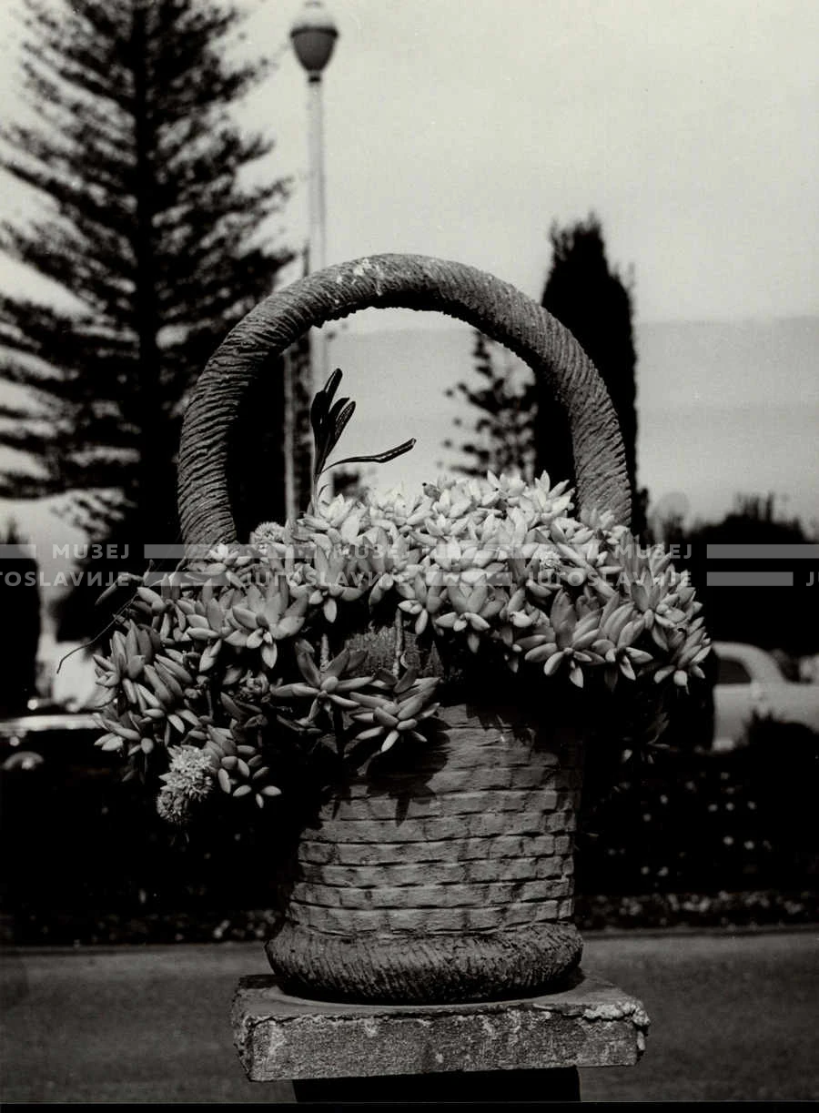 1961_162_056