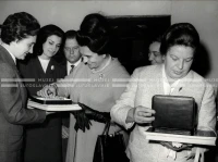 1964_252_155