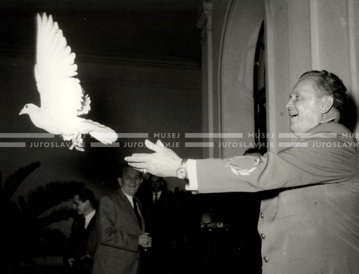 1954_028_108