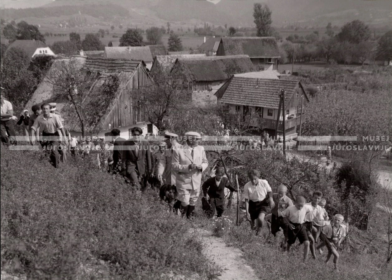 1951_011_014