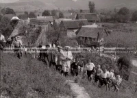 1951_011_014