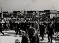 1961_163_146