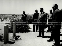 1961_164_062