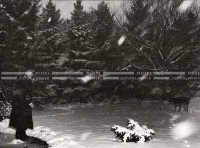 1952_013_044