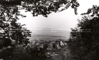 1951_009_073